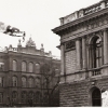 446. Feste 1953